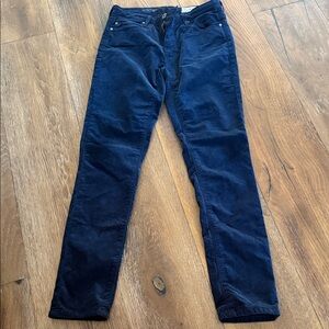 Anthropologie Stevie ankle slim straight velvet pants - new